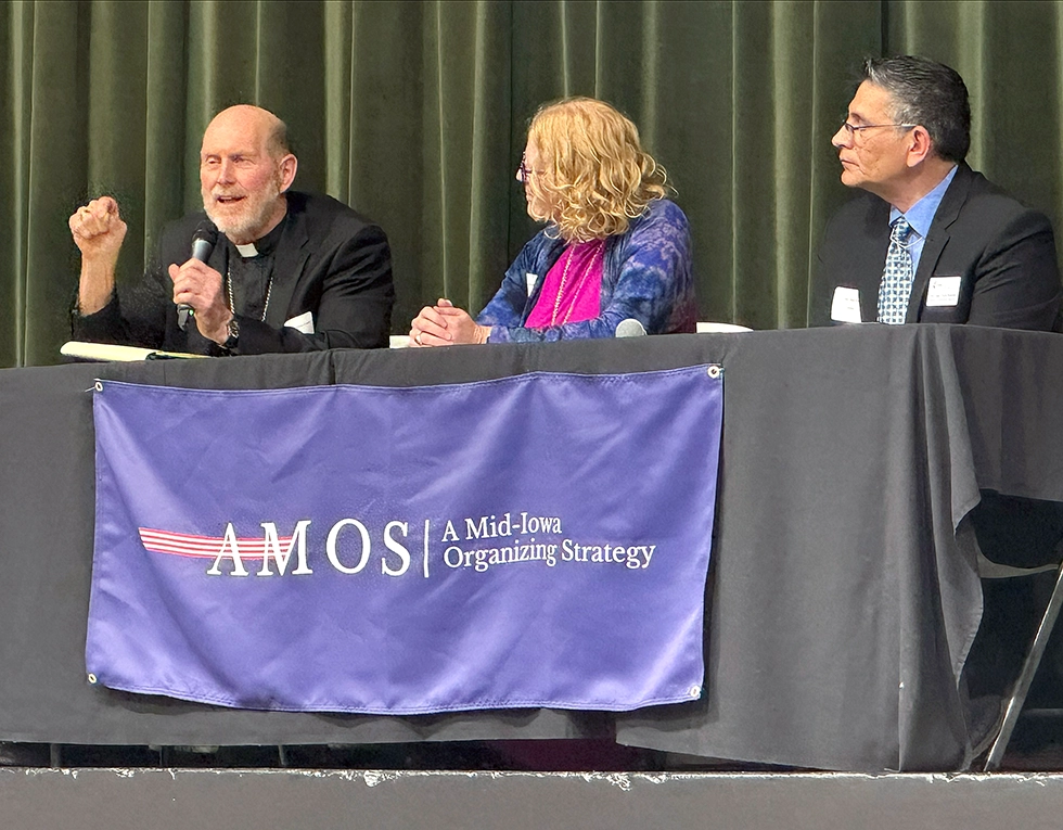 Panelists at an AMOS conference